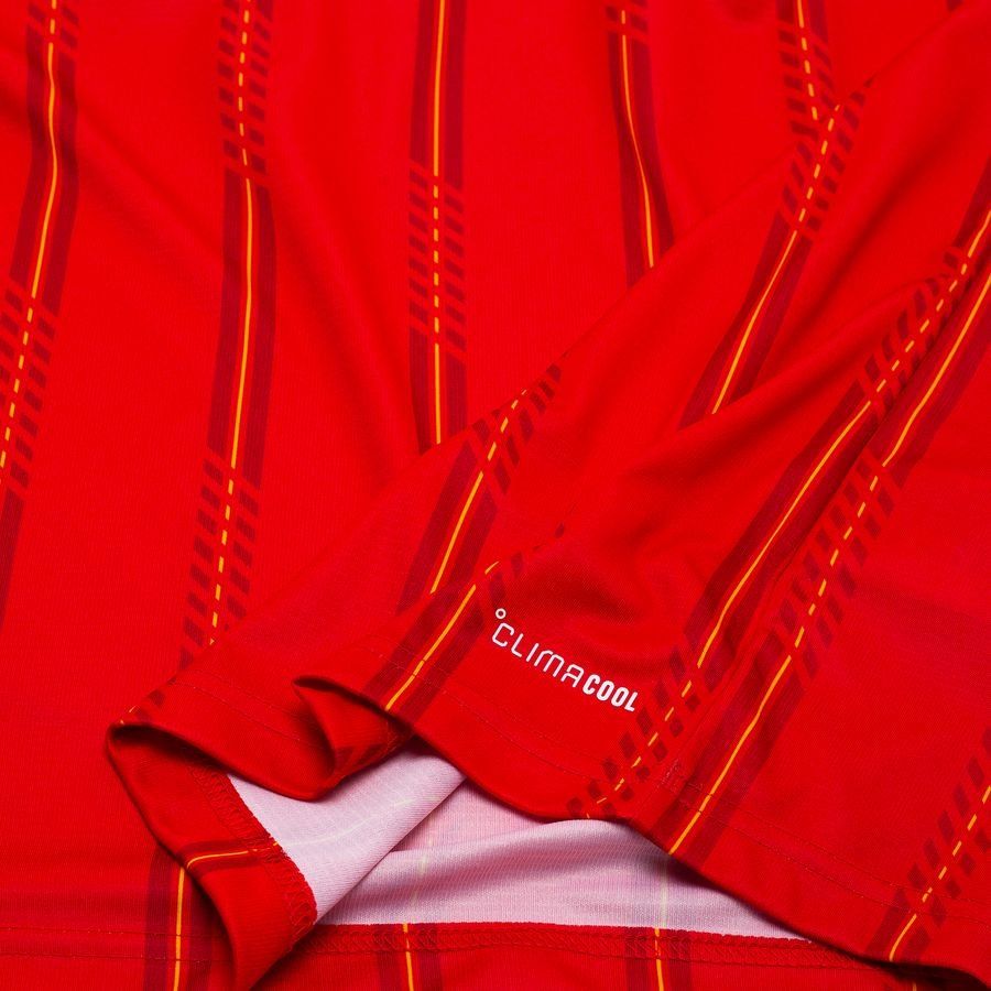 Spain World Cup 2026 Home Replica Jersey Adults