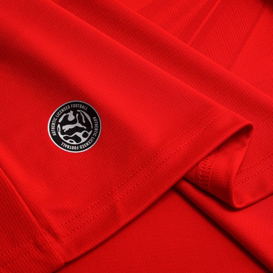 Egypt World Cup 2026 Home Replica Jersey Adults